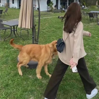 旅人第一季